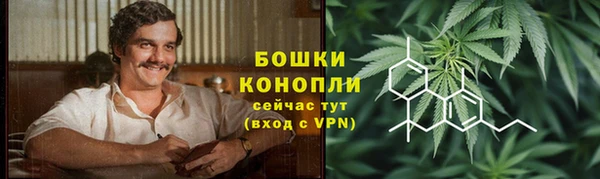 PSILOCYBIN Аркадак