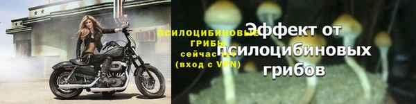 ECSTASY Баксан