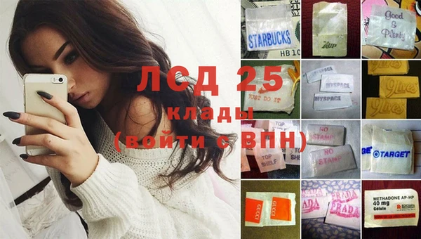спайс Касимов