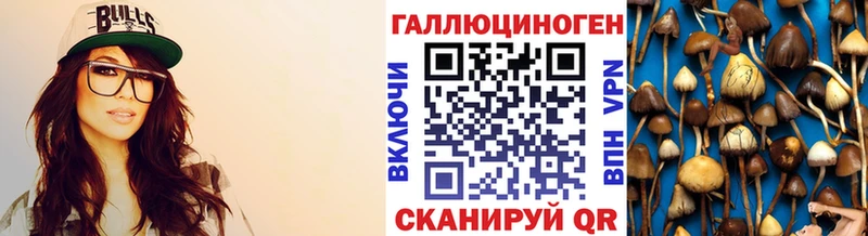 Галлюциногенные грибы GOLDEN TEACHER  Гаврилов-Ям 